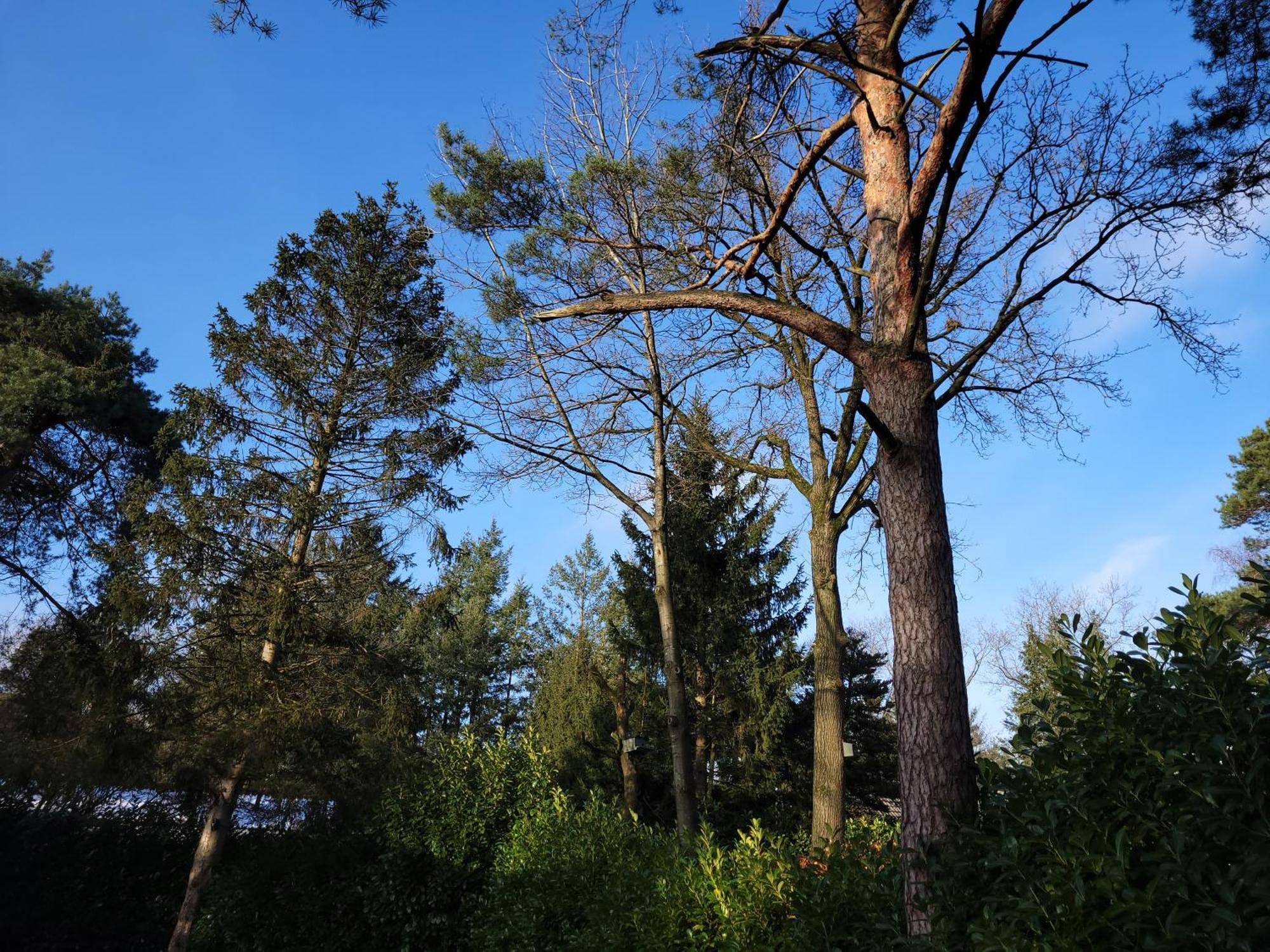 Secret Wellness Puur Natuur Holten Dış mekan fotoğraf