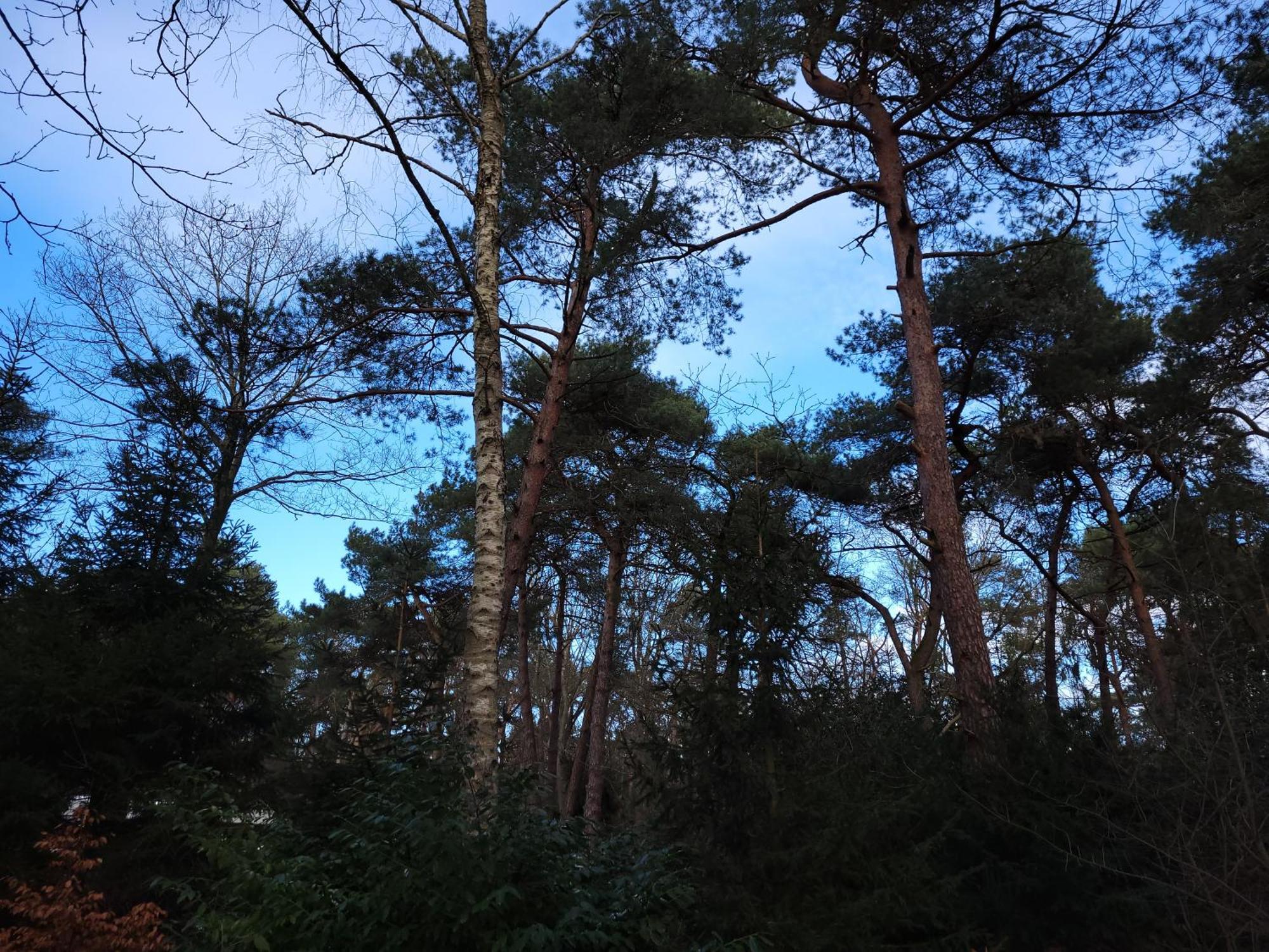Secret Wellness Puur Natuur Holten Dış mekan fotoğraf